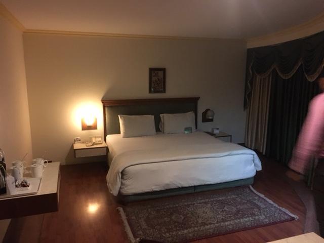 ניימרנה Shiva Oasis Resort חדר תמונה